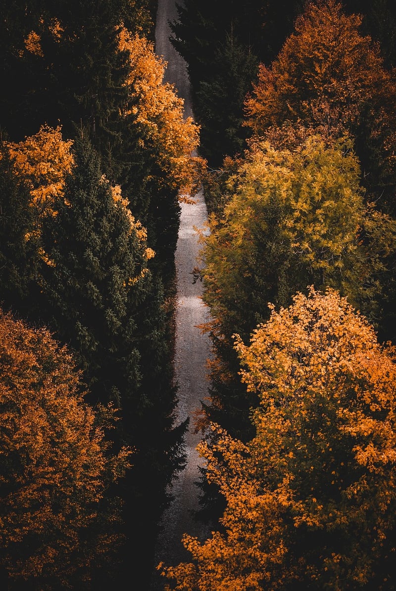 Mindfulness Image